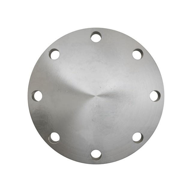 Flanges, Edelstahl, ASME B16.5, Blindflansch, 150 lbs, RF, 6", AISI316L, 1.4404