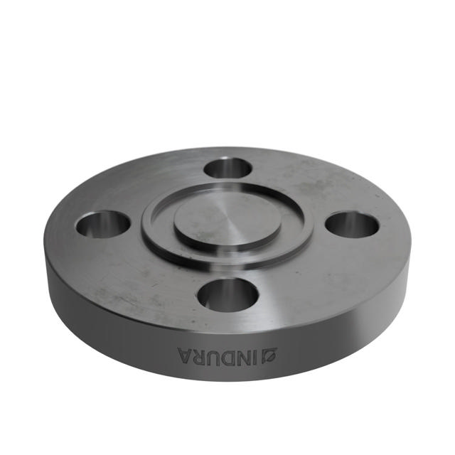 Flanges, Carbon, EN 1092-1, Blind flange, T:05, PN10-40, D, DN15, P250GH, 1.0460, 