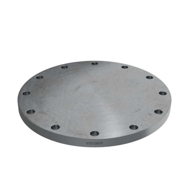 Flanges, HDG, Carbon, EN 1092-1, Blind flange, T:05, PN10, A, DN300, P250GH, 1.0460, 