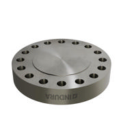 Flanges, Rustfri, EN 1092-1, Blindflange, T:05, PN250, B2, DN250, AISI316L, 1.4404, 