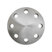 Flanges, Stainless, EN 1092-1, Blind flange, T:05, PN100, B2, DN65, AISI316TI, 1.4571, 