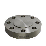 Flanges, Rustfri, EN 1092-1, Blindflange, T:05, PN250, B2, DN65, AISI304L, 1.4307, 