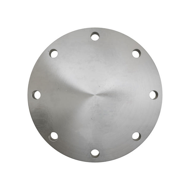 Flanges, Stainless, ASME B16.5, Blind flange, 150 lbs, RF, 8", AISI304L, 