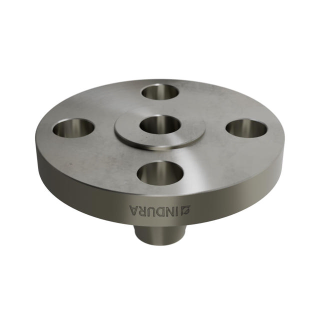 Flanges, Stainless, ASME B16.5, Welding neck flange, 300 lbs, RF, 1/2", AISI304L, 