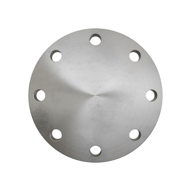 Flanges, Edelstahl, EN 1092-1, Blindflansch, T:05, PN25-40, A, DN150, AISI321, 1.4541, 