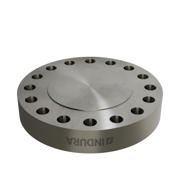 Flanges, Rustfri, EN 1092-1, Blindflange, T:05, PN250, B2, DN250, AISI321, 1.4541, 