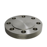 Flanges, Stainless, EN 1092-1, Blind flange, T:05, PN160, B2, DN100, AISI321, 1.4541, 