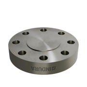 Flanges, Edelstahl, EN 1092-1, Blindflansch, T:05, PN320, B2, DN100, AISI321, 1.4541, 