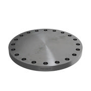 Flanges, Sort, EN 1092-1, Blindflange, T:05, PN40, A, DN500, P250GH, 1.0460, 