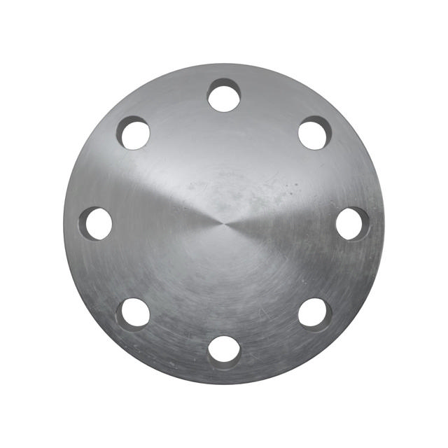 Flanges, Sort, EN 1092-1, Blindflange, T:05, PN63, B2, DN100, P250GH, 1.0460, 
