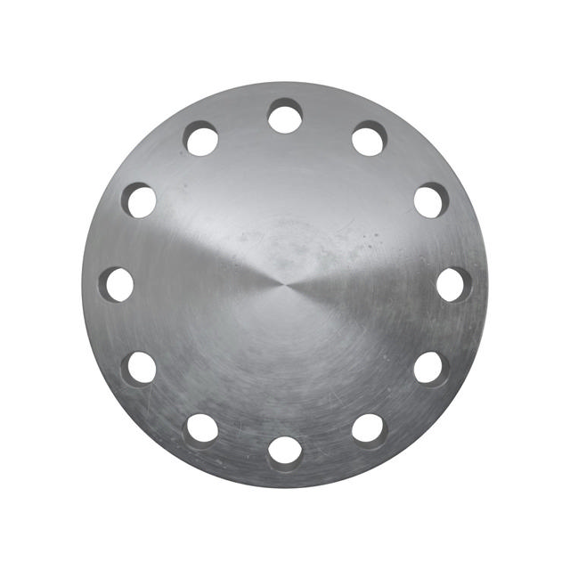 Flanges, Sort, EN 1092-1, Blindflange, T:05, PN63, B2, DN200, P250GH, 1.0460, 