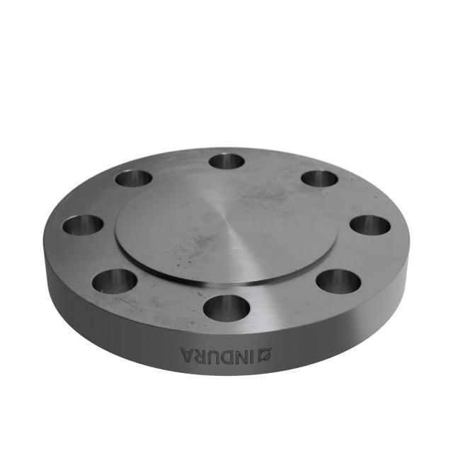 Flanges, Kohlenstoffstahl, EN 1092-1, Blindflansch, T:05, PN100, B2, DN100, P250GH, 1.0460, 
