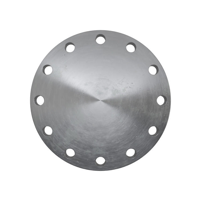 Flanges, Sort, EN 1092-1, Blindflange, T:05, PN25, A, DN250, LF2 CL1-SA/A105N-P280GH, 