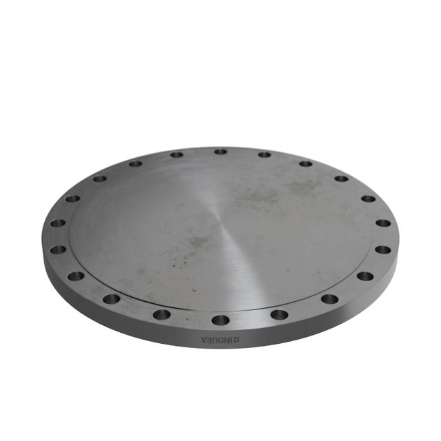 Flanges, Stal węglowa, ASME B16.5, Kołnierz zaślepiający, 150 lbs, RF, 24", LF2 C1-SA/A105N-P280GH