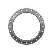 Flanges, Sort, ASME B16.5, Lap Joint flange, 150 lbs, FF, 24", LF2 CL1-SA/A105N-P280GH